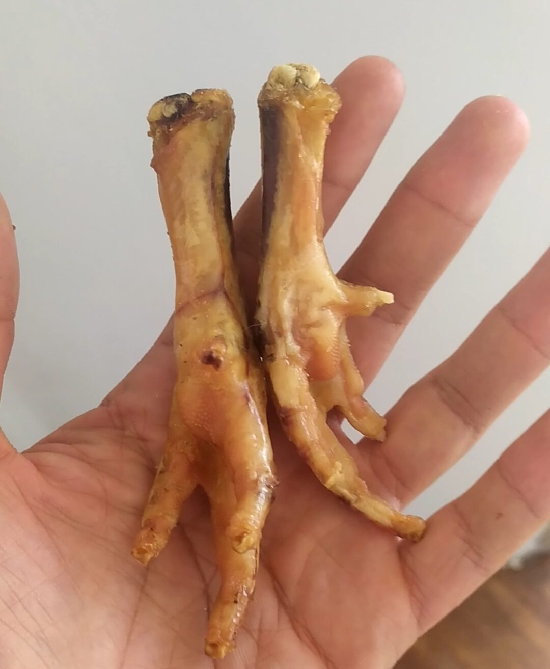 patas de pollo para perros